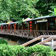 東肖森林公園 東肖森林公園