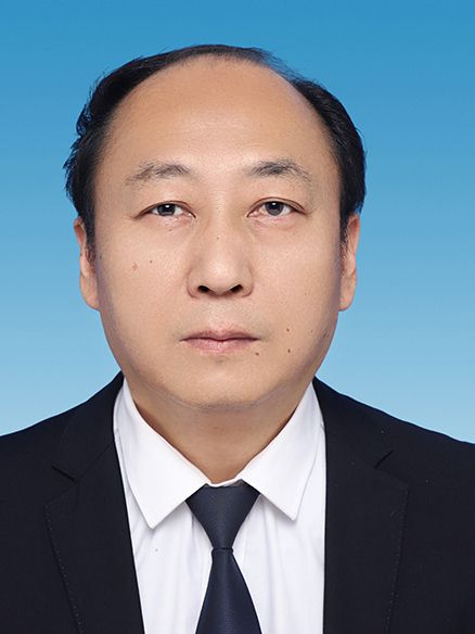 陳力(重慶市涪陵區經濟信息委黨委委員、副主任) 陳力(重慶市涪陵區經濟信息委黨委委員、副主任)