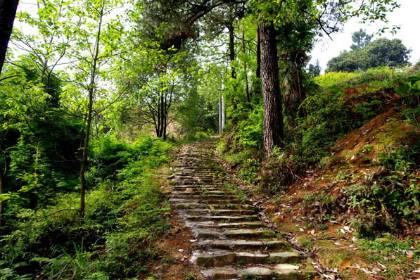 金山古道 金山古道