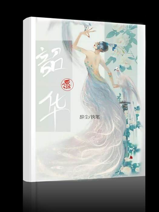 韶華願 韶華願