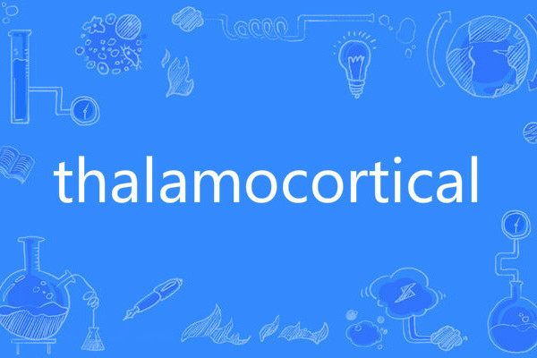 thalamocortical thalamocortical