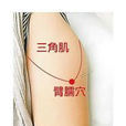臂臑 臂臑
