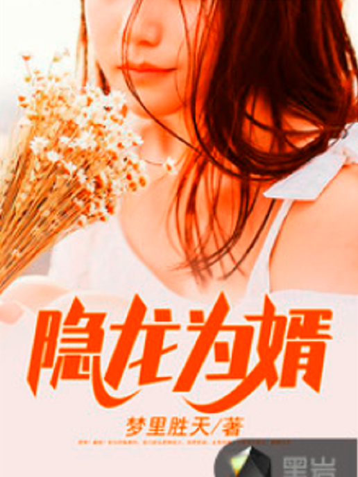 隱龍為婿 隱龍為婿