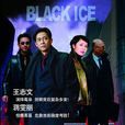 黑冰(2001年蔣雯麗主演的電視劇)