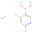 2,4-二氯吡啶-5-硼酸水合物