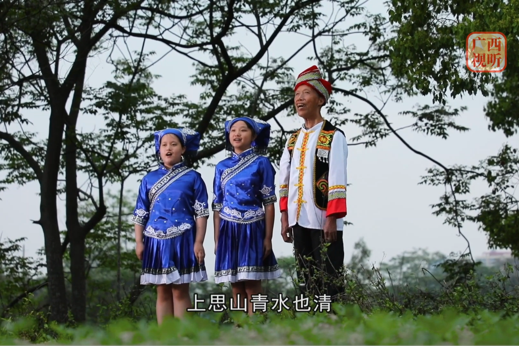 上思雖蕾