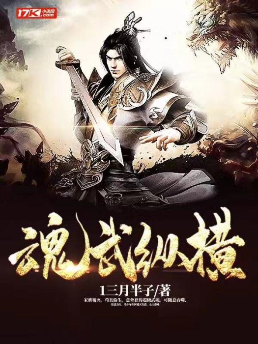 魂武縱橫 魂武縱橫