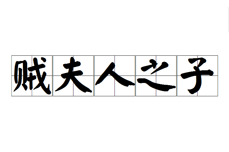 賊夫人之子 賊夫人之子