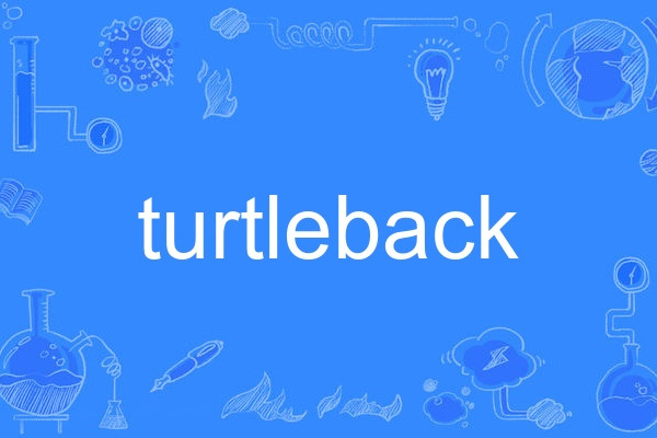 turtleback turtleback