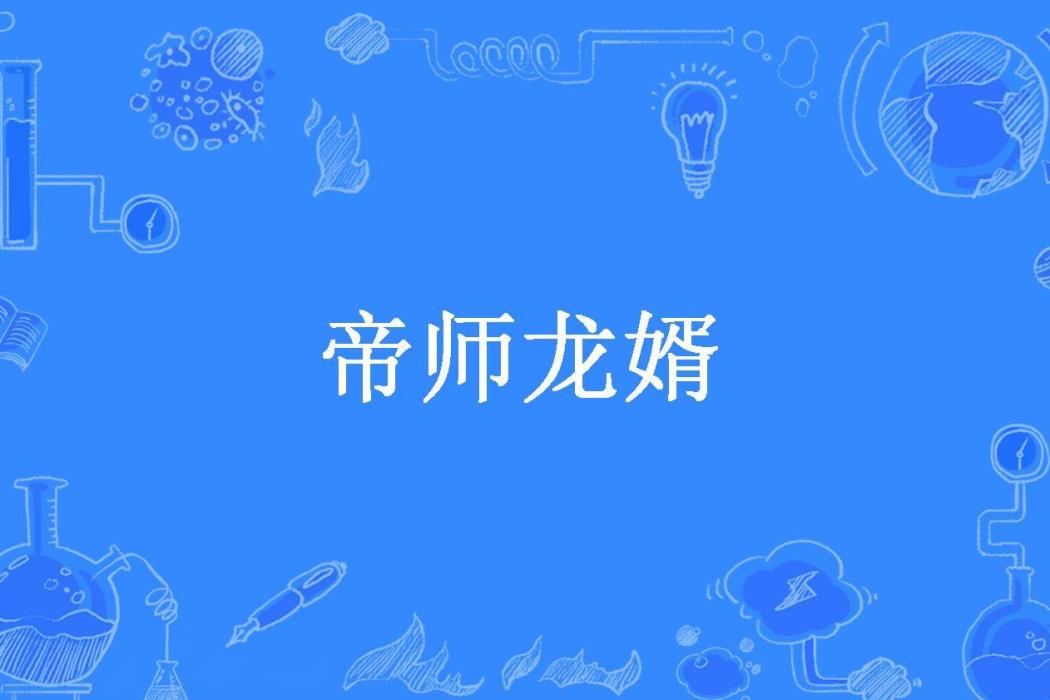 帝師龍婿(夜盡天明所著小說) 帝師龍婿(夜盡天明所著小說)