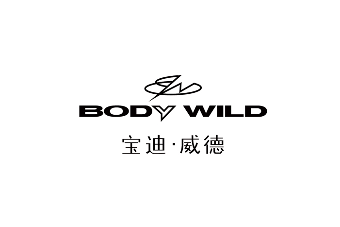 寶迪威德 寶迪威德