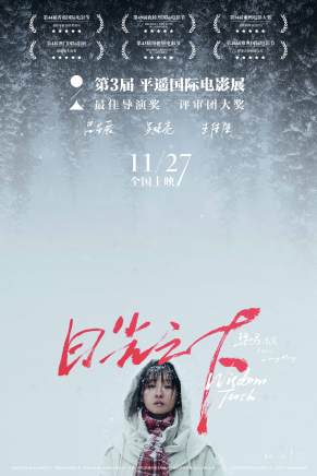 王佳佳(中國內地女演員)