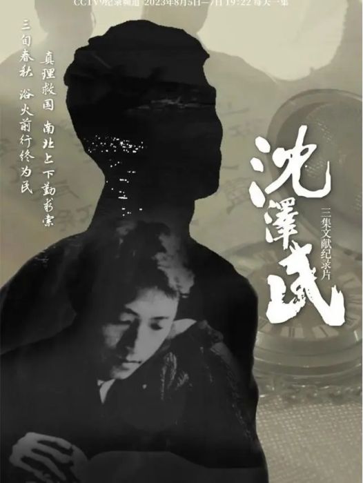 沈澤民(文獻紀錄片) 沈澤民(文獻紀錄片)