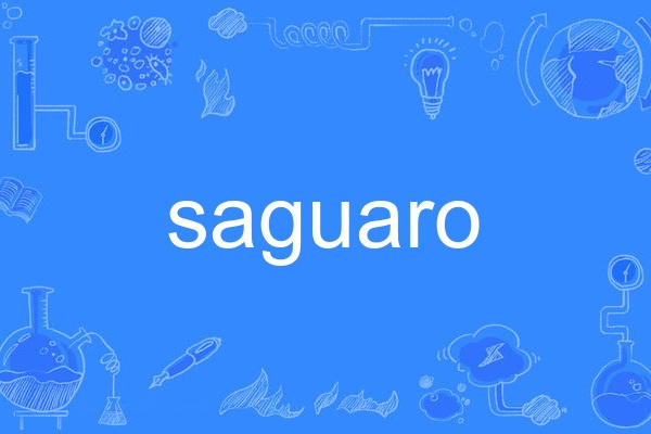 saguaro saguaro