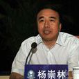 楊崇林(河南省聯絡工作委員會副主任) 楊崇林(河南省聯絡工作委員會副主任)