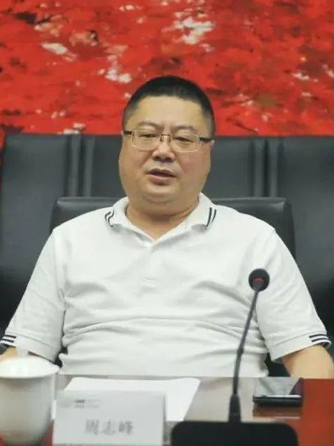 周志峰(山海控股集團有限公司執行董事兼總經理)