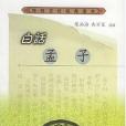 白話孟子 白話孟子