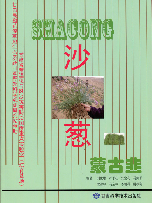 沙蔥蒙古韭 沙蔥蒙古韭