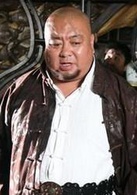 東陵大盜(2008年張多福執導電視劇)