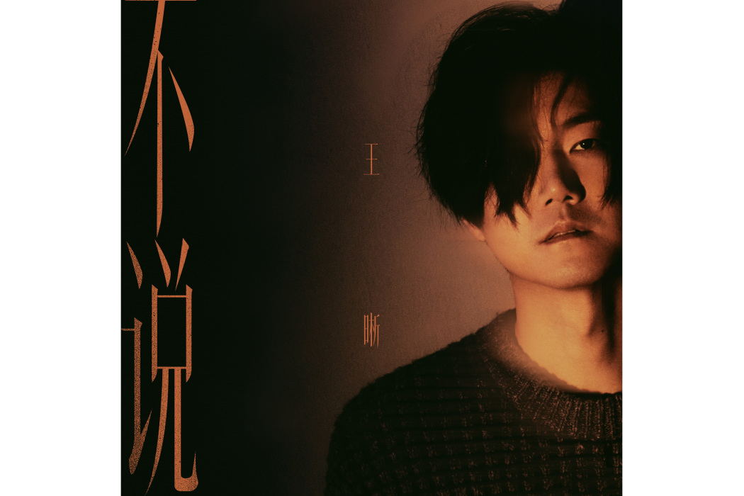 不說(王晰個人音樂專輯)