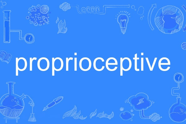 proprioceptive proprioceptive