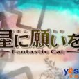 向星許願 向星許願