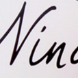 Nina(.NET 的微型 Web 框架) Nina(.NET 的微型 Web 框架)