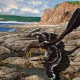 脅空鳥龍 脅空鳥龍