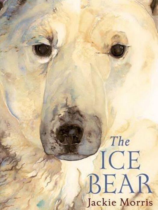 The Ice Bear Mini Edition The Ice Bear Mini Edition