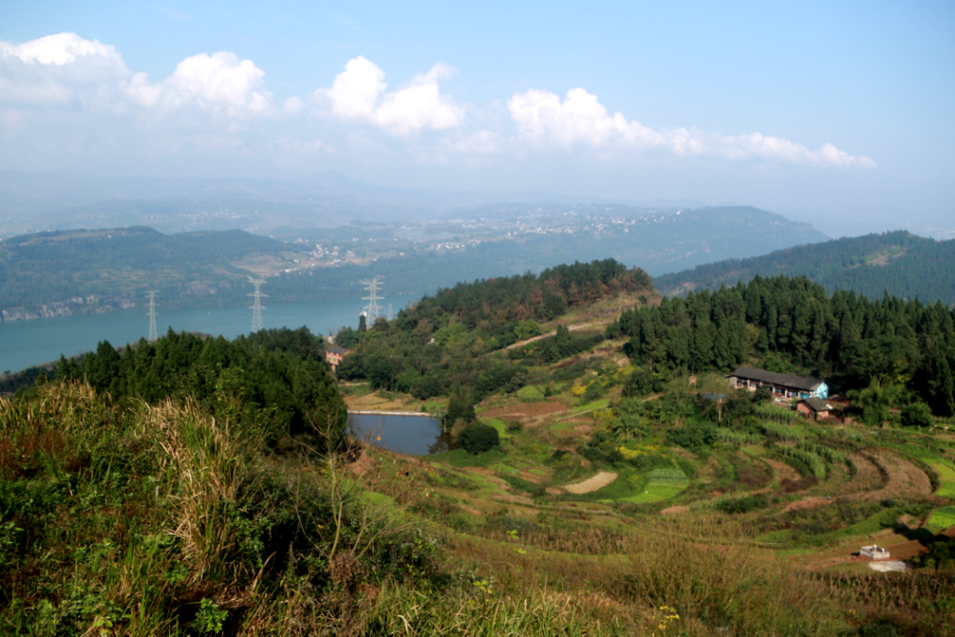 盧高(重慶市西沱鎮盧高村莊) 盧高(重慶市西沱鎮盧高村莊)