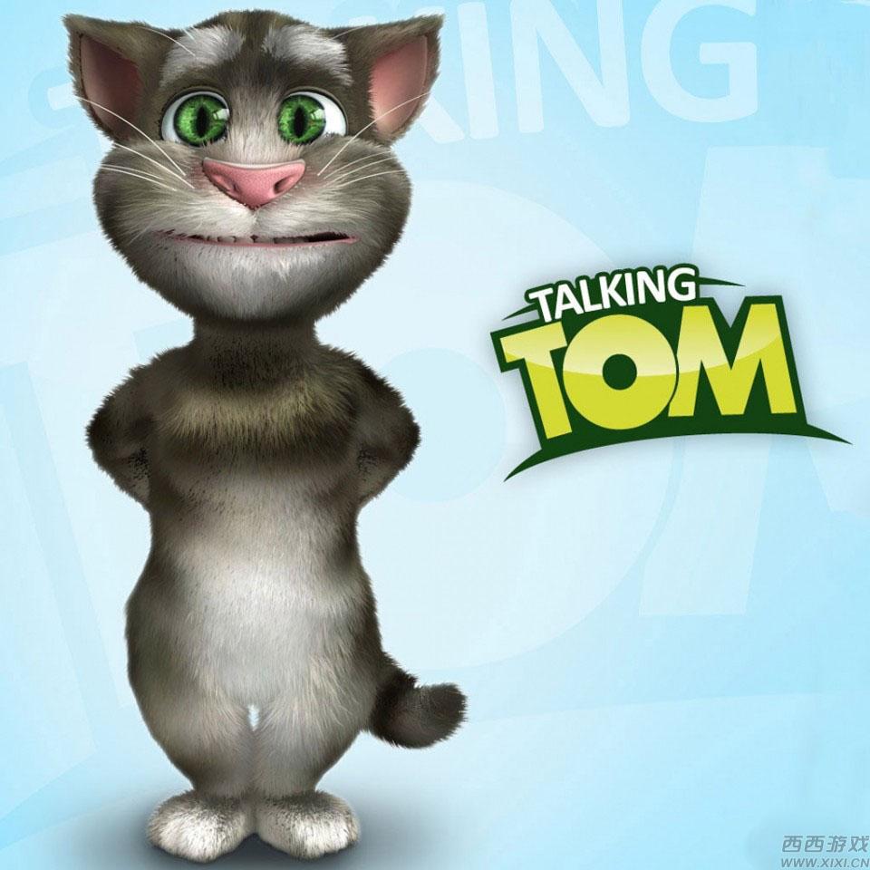 TOM貓