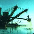 濱海砂礦 濱海砂礦