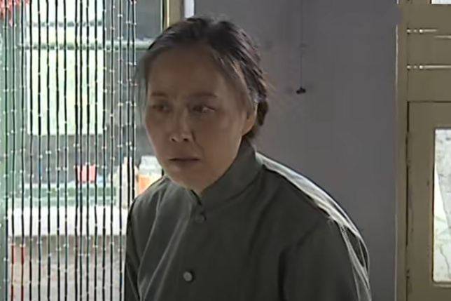 沈明芳(年代劇《我們像葵花》中的角色) 沈明芳(年代劇《我們像葵花》中的角色)