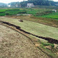 虎塘村(廣東省廣州市白雲區鐘落潭鎮下轄村) 虎塘村(廣東省廣州市白雲區鐘落潭鎮下轄村)