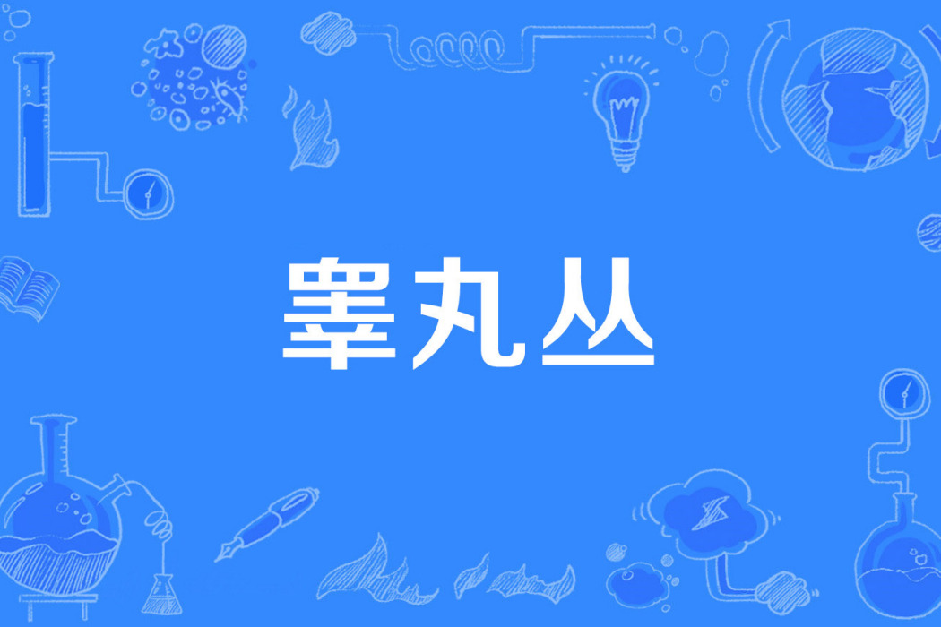 睪丸叢 睪丸叢