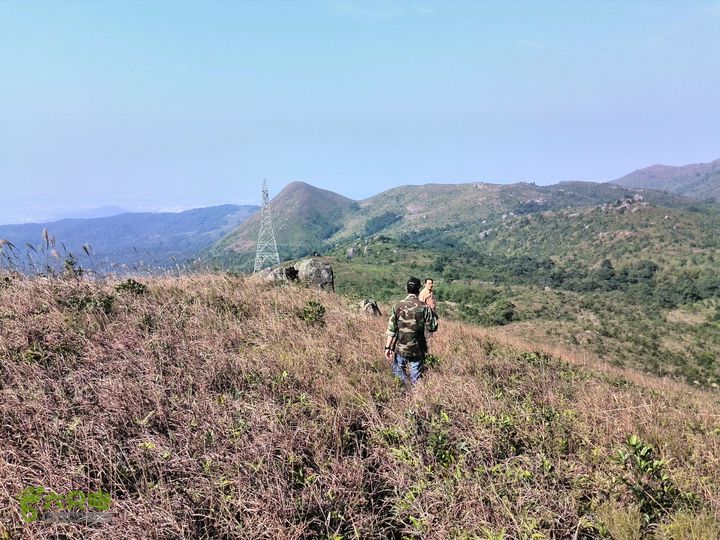 鎮隆村 鎮隆村