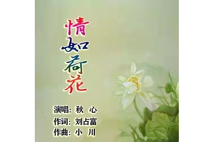 情如荷花 情如荷花