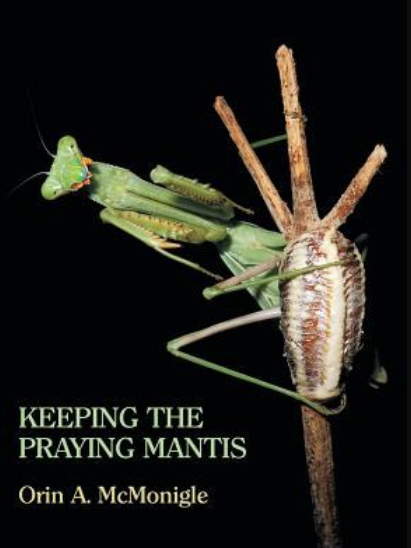 Keeping the Praying Mantis Keeping the Praying Mantis
