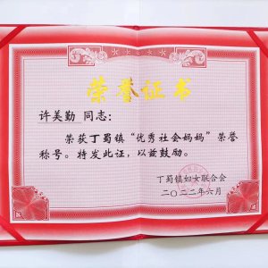 許美勤 許美勤