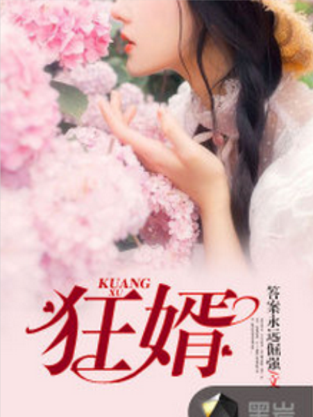 狂婿 狂婿