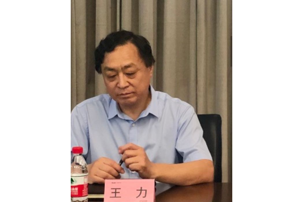 王力(易華錄董事) 王力(易華錄董事)