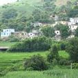 高寨村(雲南玉溪元江縣東峨鎮高寨村) 高寨村(雲南玉溪元江縣東峨鎮高寨村)
