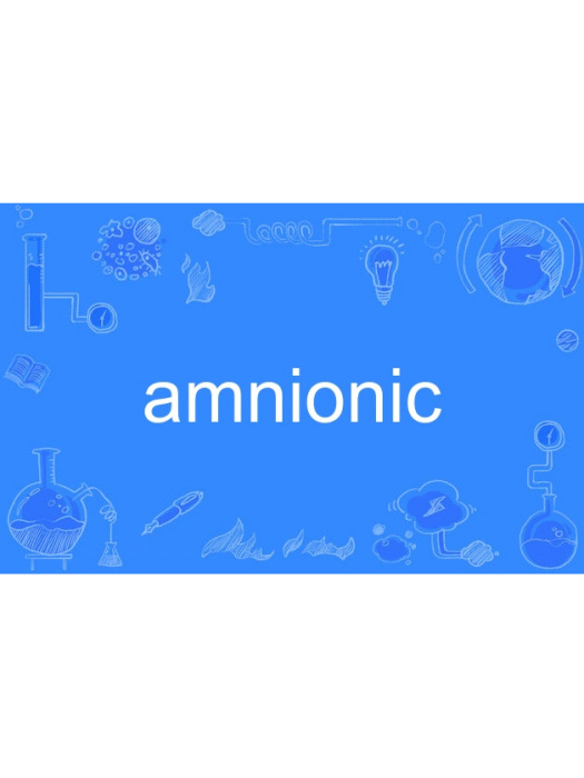amnionic amnionic