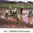 湄南河平原 湄南河平原