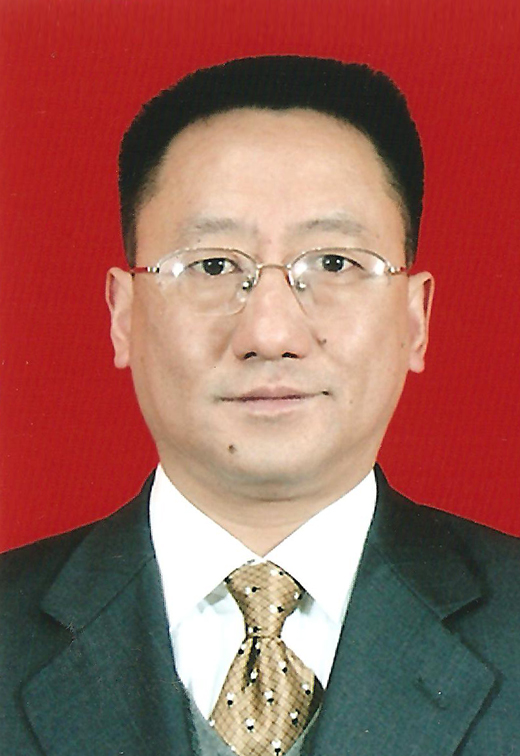 陳智(四川省統計局副局長)
