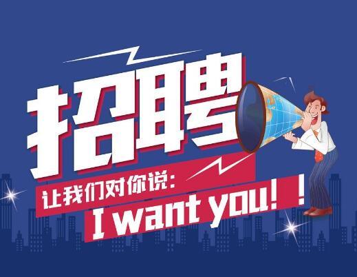 工作安置 工作安置