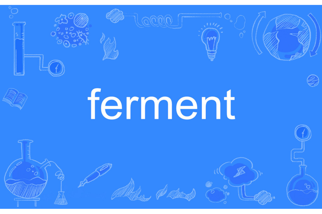 ferment ferment