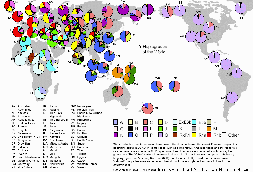 世界人群分布的Y染色體單倍型類群圖