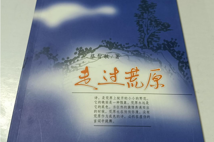 走過荒原(2006年大眾文藝出版社出版的圖書) 走過荒原(2006年大眾文藝出版社出版的圖書)