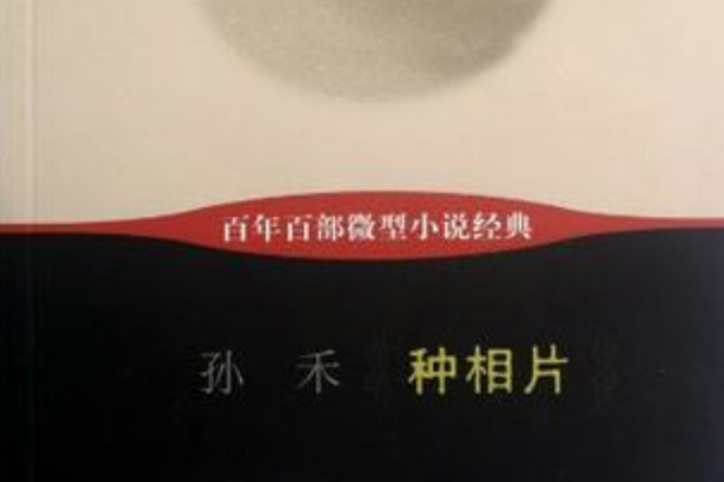 種相片-百年百部微型小說經典(種相片) 種相片-百年百部微型小說經典(種相片)